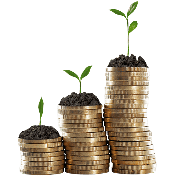 Group investment growth visualization